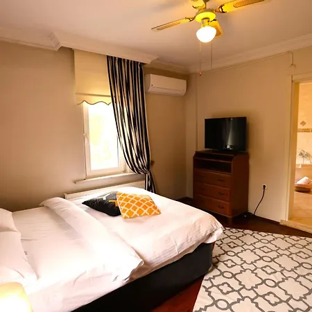Villa Sapanca Butik Konukevi-Sari Ev * 萨潘贾