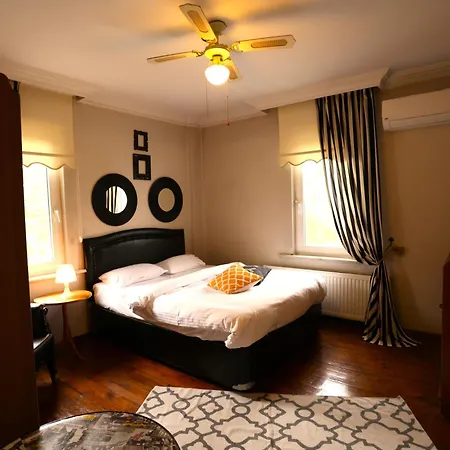 Villa Sapanca Butik Konukevi-Sari Ev