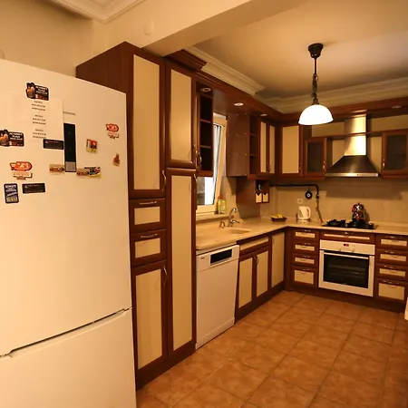 Villa Sapanca Butik Konukevi-Sari Ev 萨潘贾