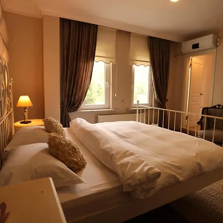 Villa Sapanca Butik Konukevi-Sari Ev 别墅 *