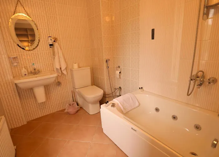 别墅 Villa Sapanca Butik Konukevi-Sari Ev 萨潘贾