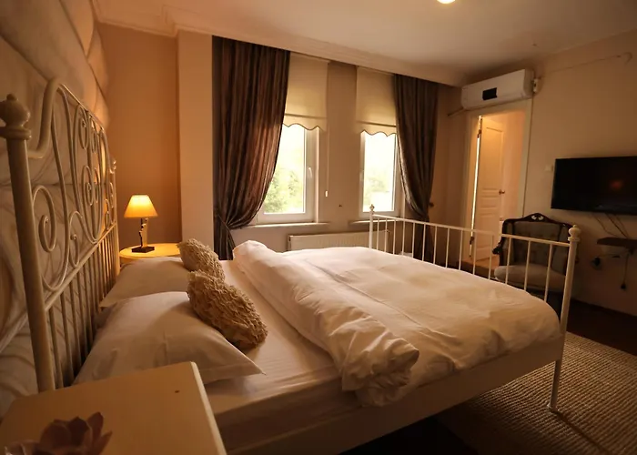 Villa Sapanca Butik Konukevi-Sari Ev 别墅 *