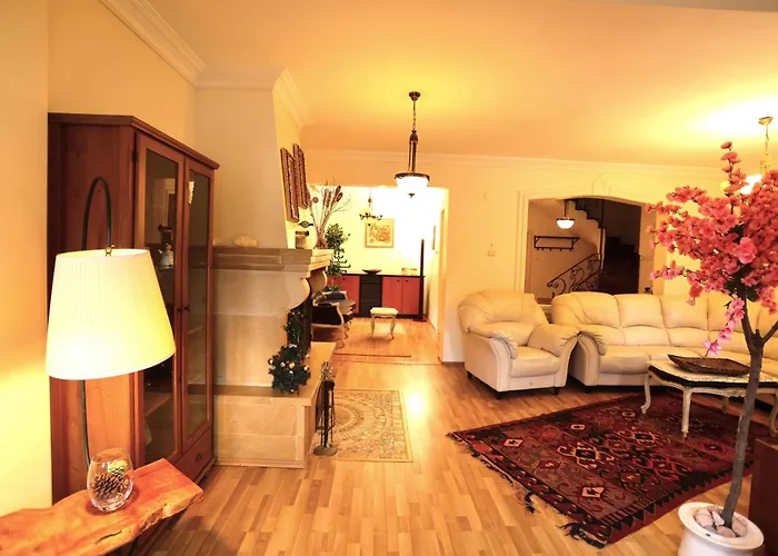 别墅 Villa Sapanca Butik Konukevi-Sari Ev *